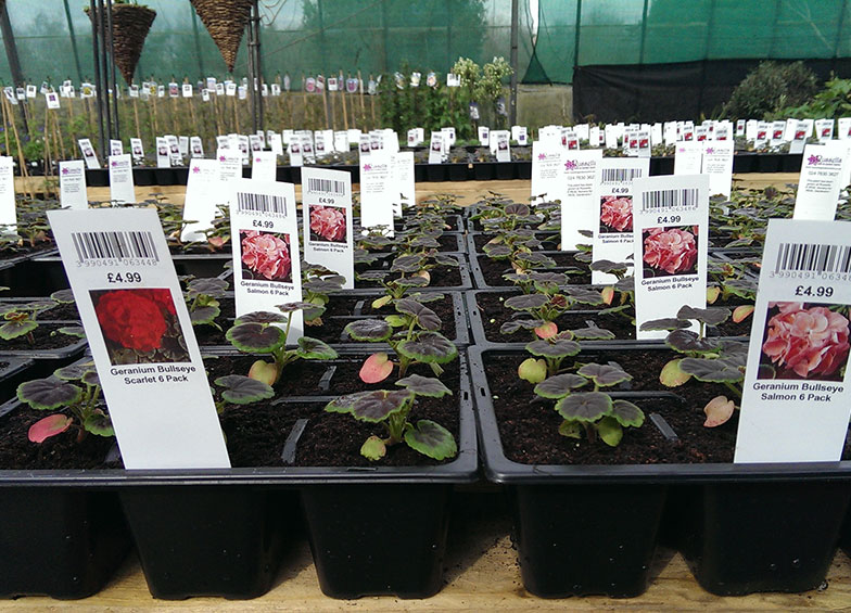 labelling for plants