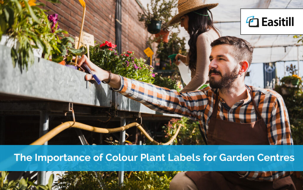 The Importance of Colour Plant Labels for Garden Centres